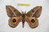  ( - BC-RBP 6499)  @13 [ ] Copyright (2012) Ron Brechlin Research Collection of Ron Brechlin