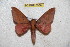 ( - BC-RBP 6538)  @12 [ ] Copyright (2012) Ron Brechlin Research Collection of Ron Brechlin