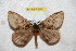  ( - BC-RBP 6551)  @14 [ ] Copyright (2012) Ron Brechlin Research Collection of Ron Brechlin