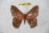  ( - BC-RBP 6558)  @12 [ ] Copyright (2012) Ron Brechlin Research Collection of Ron Brechlin