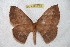 ( - BC-RBP 6559)  @13 [ ] Copyright (2012) Ron Brechlin Research Collection of Ron Brechlin