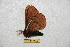  ( - BC-RBP 6594)  @12 [ ] Copyright (2012) Ron Brechlin Research Collection of Ron Brechlin