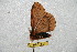  ( - BC-RBP 6596)  @12 [ ] Copyright (2012) Ron Brechlin Research Collection of Ron Brechlin