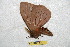  ( - BC-RBP 6607)  @12 [ ] Copyright (2012) Ron Brechlin Research Collection of Ron Brechlin