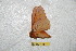  ( - BC-RBP 6617)  @12 [ ] Copyright (2012) Ron Brechlin Research Collection of Ron Brechlin
