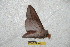  ( - BC-RBP 6631)  @13 [ ] Copyright (2012) Ron Brechlin Research Collection of Ron Brechlin