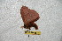  ( - BC-RBP 6677)  @12 [ ] Copyright (2012) Ron Brechlin Research Collection of Ron Brechlin