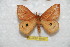  ( - BC-RBP 6690)  @14 [ ] Copyright (2012) Ron Brechlin Research Collection of Ron Brechlin