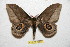  ( - BC-RBP 6698)  @11 [ ] Copyright (2012) Ron Brechlin Research Collection of Ron Brechlin