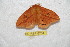  ( - BC-RBP 6704)  @13 [ ] Copyright (2012) Ron Brechlin Research Collection of Ron Brechlin