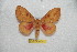  ( - BC-RBP 6711)  @13 [ ] Copyright (2012) Ron Brechlin Research Collection of Ron Brechlin