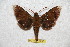  ( - BC-RBP 6756)  @14 [ ] Copyright (2012) Ron Brechlin Research Collection of Ron Brechlin