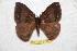  ( - BC-RBP 6779)  @14 [ ] Copyright (2012) Ron Brechlin Research Collection of Ron Brechlin