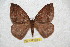  ( - BC-RBP 6780)  @14 [ ] Copyright (2012) Ron Brechlin Research Collection of Ron Brechlin