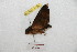  ( - BC-RBP 6799)  @12 [ ] Unspecified (default): All Rights Reserved  Unspecified Unspecified
