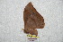 ( - BC-RBP 6862)  @12 [ ] Unspecified (default): All Rights Reserved  Unspecified Unspecified