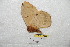  ( - BC-RBP 7006)  @12 [ ] Copyright (2012) Ron Brechlin Research Collection of Ron Brechlin