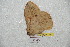  ( - BC-RBP 7011)  @12 [ ] Copyright (2012) Ron Brechlin Research Collection of Ron Brechlin