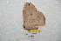  ( - BC-RBP 7020)  @12 [ ] Copyright (2012) Ron Brechlin Research Collection of Ron Brechlin