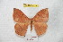  ( - BC-RBP 7076)  @11 [ ] Copyright (2012) Ron Brechlin Research Collection of Ron Brechlin