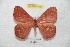  ( - BC-RBP 7082)  @14 [ ] Copyright (2012) Ron Brechlin Research Collection of Ron Brechlin