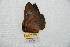  ( - BC-RBP 7260)  @12 [ ] Copyright (2013) Ron Brechlin Research Collection of Ron Brechlin