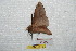  ( - BC-RBP 7310)  @12 [ ] Copyright (2013) Ron Brechlin Research Collection of Ron Brechlin