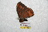  ( - BC-RBP 7322)  @12 [ ] Copyright (2013) Ron Brechlin Research Collection of Ron Brechlin