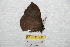  ( - BC-RBP 7344)  @12 [ ] Copyright (2013) Ron Brechlin Research Collection of Ron Brechlin
