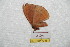  ( - BC-RBP 7345)  @12 [ ] Copyright (2013) Ron Brechlin Research Collection of Ron Brechlin