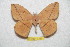  ( - BC-RBP 7399)  @13 [ ] Copyright (2013) Ron Brechlin Research Collection of Ron Brechlin