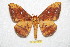  ( - BC-RBP 7403)  @14 [ ] Copyright (2013) Ron Brechlin Research Collection of Ron Brechlin