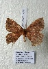  ( - BC-HKT 0215)  @13 [ ] Copyright (2016) Ron Brechlin Research Collection of Ron Brechlin