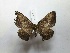  ( - BC-HKT 217)  @12 [ ] Copyright (2016) Ron Brechlin Research Collection of Ron Brechlin