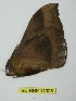  ( - BC-RBP 11328)  @11 [ ] Copyright (2019) Ron Brechlin Research Collection of Ron Brechlin
