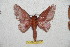  ( - BC-RBP 11797)  @11 [ ] Copyright (2020) Ron Brechlin Research Collection of Ron Brechlin