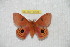  ( - BC-RBP 8200)  @13 [ ] Copyright (2014) Ron Brechlin Research Collection of Ron Brechlin