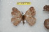  ( - BC-RBP 11829)  @11 [ ] Copyright (2020) Ron Brechlin Research Collection of Ron Brechlin
