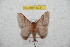  ( - BC-RBP 8231)  @12 [ ] Copyright (2014) Ron Brechlin Research Collection of Ron Brechlin