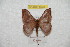  ( - BC-RBP 8232)  @12 [ ] Copyright (2014) Ron Brechlin Research Collection of Ron Brechlin