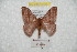  ( - BC-RBP 8233)  @14 [ ] Copyright (2014) Ron Brechlin Research Collection of Ron Brechlin