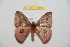 ( - BC-RBP 11840)  @13 [ ] Copyright (2020) Ron Brechlin Research Collection of Ron Brechlin