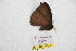  ( - BC-RBP 8268)  @12 [ ] Copyright (2014) Ron Brechlin Research Collection of Ron Brechlin