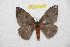  ( - BC-RBP 10507)  @13 [ ] Copyright (2017) Ron Brechlin Research Collection of Ron Brechlin