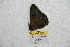  ( - BC-RBP 8273)  @12 [ ] Copyright (2014) Ron Brechlin Research Collection of Ron Brechlin