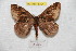  ( - BC-RBP 8304)  @14 [ ] Copyright (2014) Ron Brechlin Research Collection of Ron Brechlin