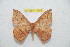  ( - BC-RBP 11848)  @11 [ ] Copyright (2020) Ron Brechlin Research Collection of Ron Brechlin
