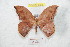  ( - BC-RBP 8385)  @13 [ ] Copyright (2014) Ron Brechlin Research Collection of Ron Brechlin