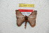  ( - BC-RBP 10543)  @11 [ ] Copyright (2017) Ron Brechlin Research Collection of Ron Brechlin