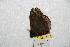  ( - BC-RBP 8426)  @12 [ ] Copyright (2014) Ron Brechlin Research Collection of Ron Brechlin